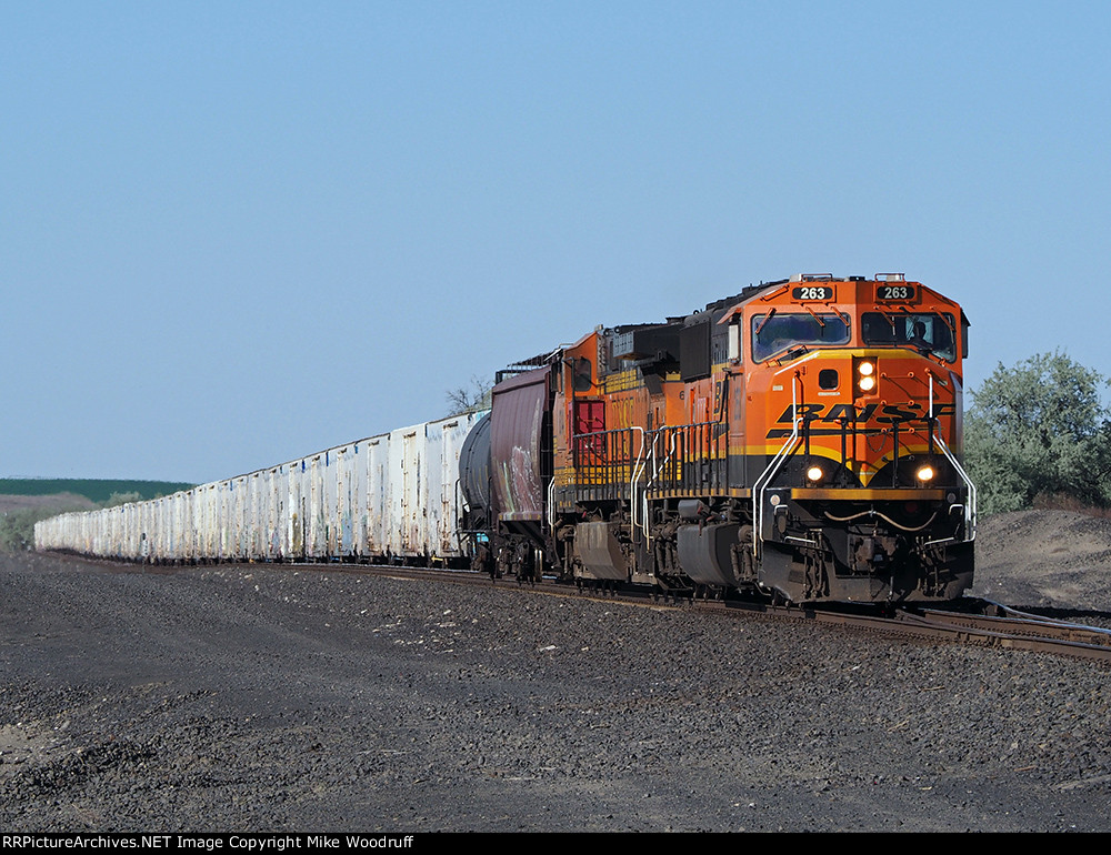 BNSF 263